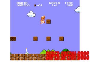 Super Sperm Bros (SMB1 Hack) Cover